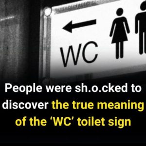 Everyone Sees This Sign — But Not Everyone Knows Its Fascinating History