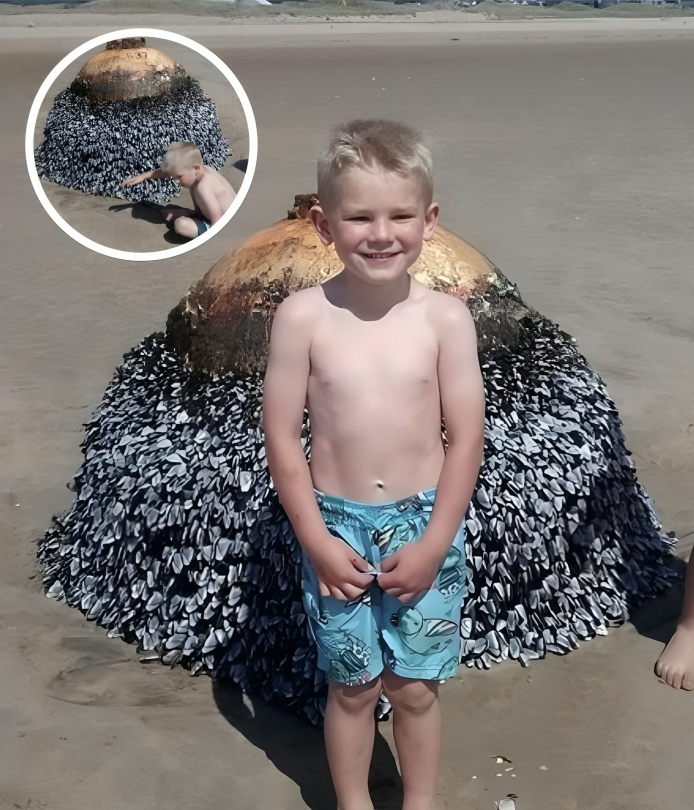 Dad Shares Innocent Photo Of His Son At Beach, Authorities Act Fast After Spotting Small Detail